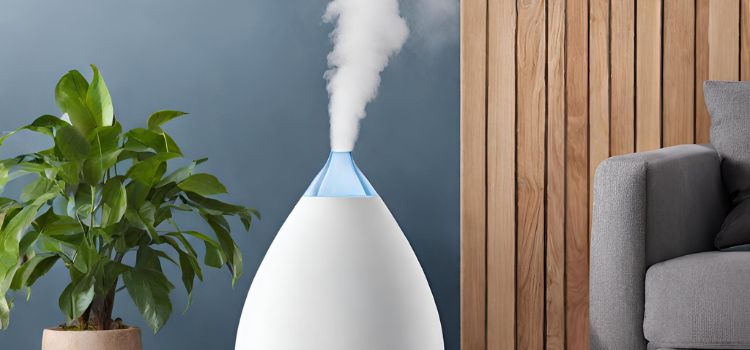 best humidifiers for hard water