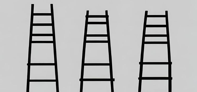 Gorilla vs. Werner vs. Little Giant vs. Franklin Ladder & Fiberglass vs. Aluminum Ladder