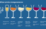 What Temp Should Wine Fridge Be?