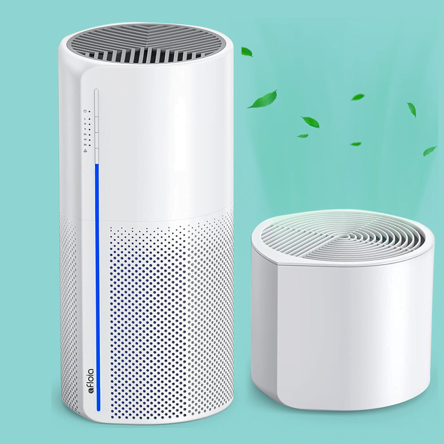 Should I Use an Air Purifier And a Humidifier in the Same Room? Find Out Now!